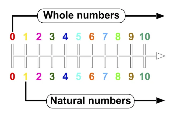 Φυσικοί Αριθμοί Και Ολόκληρες Γραμμές Αριθμών Απόδοση — Φωτογραφία Αρχείου