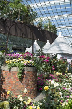 Singapur, 16-Haziran 2023, Singapur Körfezi yakınlarındaki Gardens 'taki Çiçek Kubbesi' nin iç manzarası. Cam kubbenin altında farklı bitki ve ağaçlardan oluşan bir koleksiyon.