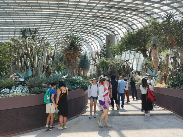 Stock image Singapore - 16 Jun, 2023:  The conservatory Flower Dome located at Park Gardens by the Bay, Singapore.