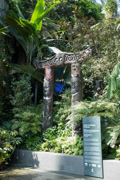 Singapore Giu 2023 Cloud Forest Conservatory Gardens Bay Singapore Compone — Foto Stock