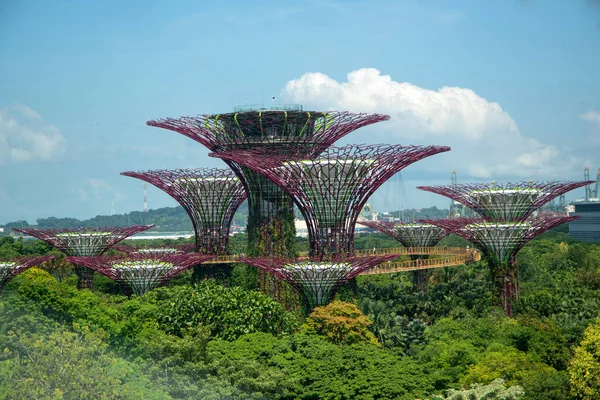 Singapour Jun 2023 Vue Supertree Grove Gardens Bay Singapour Est — Photo