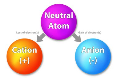 Kastlar, anyonlar ve nötr atom, 3 boyutlu görüntüleme