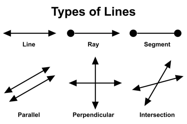 Различные Типы Линий Математике Рендеринг — стоковое фото