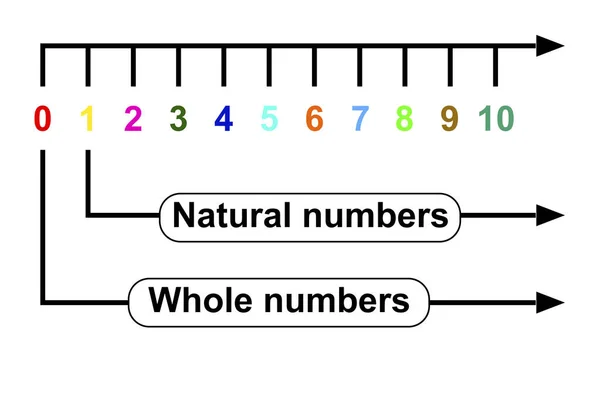 Natural Numbers Whole Numbers Line Rendering — Stock Photo, Image