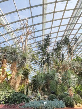 Singapur - 16 Haziran 2023: Singapur Körfezi yakınlarındaki Park Gardens 'ta bulunan konservatuar Çiçek Kubbesi.