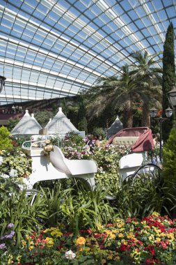Singapur, 16-Haziran 2023, Singapur Körfezi yakınlarındaki Gardens 'taki Çiçek Kubbesi' nin iç manzarası. Cam kubbenin altında farklı bitki ve ağaçlardan oluşan bir koleksiyon.