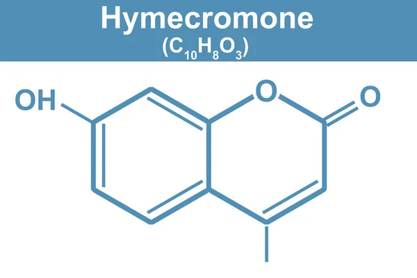 Ilustración Química Hymecromone Azul Representación —  Fotos de Stock