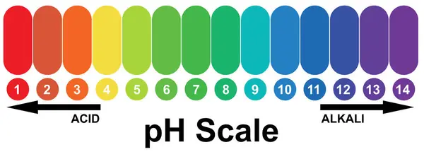 Ph值碱性和酸性尺度 3D渲染 — 图库照片