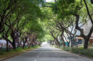 Manila, Filipinler- 16 Ekim 2023: Makati, Manila 'da Paseo de Roxas Caddesi. Makati şehrinin ana ticaret ve ticaret bölgesinden geçen ana yoldur..