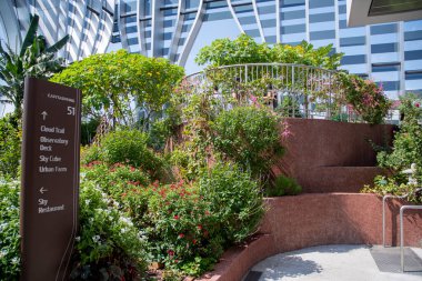 Singapur - 27 Ekim 2023 Capita Spring Binası 'nda bir gözlemevi güvertesi ve bir çatı bahçesi içeren çatı bahçesi..