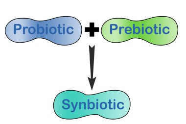 Probiyotik ve prebiyotik karışımı, 3D görüntüleme