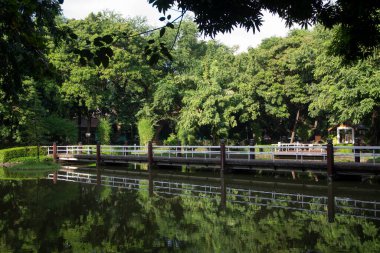 Manila, Filipinler-13 Ekim 2023: Manila, Filipinler 'deki Rizal Park' ın içindeki Japon bahçesi. Rizal Park, Manila 'nın en önemli turistik yerlerinden biridir..