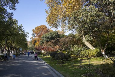 Nanjing, Çin - 2 Aralık 2023: İnsanlar sonbahar döneminde Nanjing 'deki Xuanwu Gölü' nü ziyaret ediyor. Xuanwu Gölü, Çin tarafından korunan güzel manzaralı bir yerdir.