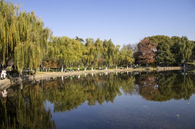 Nanjing, Çin - 2 Aralık 2023: Nanjing 'deki Xuanwu Gölü' nün sonbahar dönemi görüntüsü. Xuanwu Gölü, Çin tarafından korunan güzel manzaralı bir yerdir.