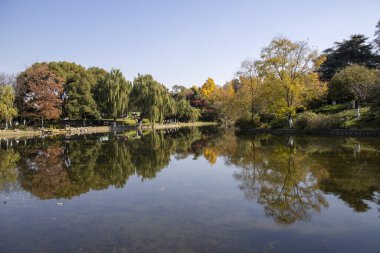 Nanjing, Çin - 2 Aralık 2023: Nanjing 'deki Xuanwu Gölü' nün sonbahar dönemi görüntüsü. Xuanwu Gölü, Çin tarafından korunan güzel manzaralı bir yerdir.