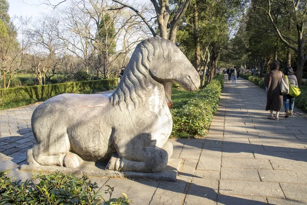 Nanjing, Çin-1 Aralık 2023: Nanjing 'deki Ming Xiaoling Anıtmezarı' ndaki Taş Heykel Yolu 'ndaki at heykeli. Nanjing 'deki Xiaoling' e giden yolda taştan heykeller var.