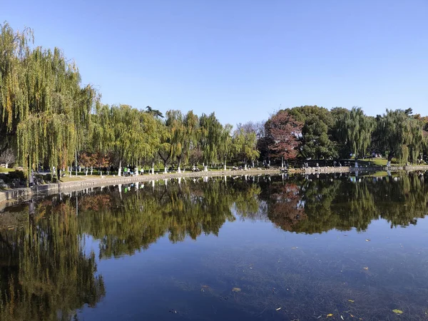 Nanjing, Çin - 2 Aralık 2023: Nanjing 'deki Xuanwu Gölü' nün sonbahar dönemi görüntüsü. Xuanwu Gölü, Çin tarafından korunan güzel manzaralı bir yerdir.
