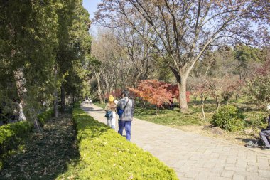 Nanjing, Çin - 1 Aralık 2023: Ming Hanedanlığı 'nın Xiaoling Anıtmezarını ziyaret eden turistler. Çin 'de var olan en büyük imparatorluk anıtlarından biridir.