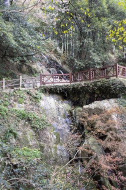 Çin 'deki Moganshan Manzarası. Moganshan serin iklimi ve yemyeşil iklimi ile ünlüdür.