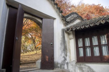 Çin 'in Suzhou kentindeki Tiger Hill Sahnesi' nde sonbahar manzarası. Suzhou 'nun sembolü. 2500 yıl öncesine kadar izlenebilir.