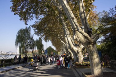 Nanjing, Çin - 2 Aralık 2023: İnsanlar sonbahar döneminde Nanjing 'deki Xuanwu Gölü' nü ziyaret ediyor. Xuanwu Gölü, Çin tarafından korunan güzel manzaralı bir yerdir.