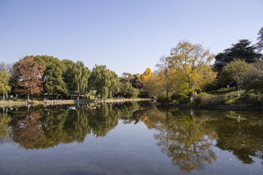 Nanjing, Çin - 2 Aralık 2023: Nanjing 'deki Xuanwu Gölü' nün sonbahar dönemi görüntüsü. Xuanwu Gölü, Çin tarafından korunan güzel manzaralı bir yerdir.