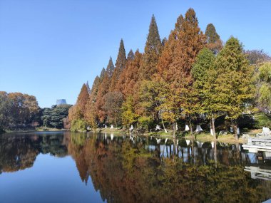 Nanjing 'deki Xuanwu Gölü' nün sonbahar sezonu manzarası. Xuanwu Gölü, Çin tarafından korunan güzel manzaralı bir yerdir.