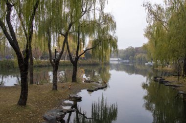 Suzhou, Çin - 6 Aralık 2023: Çin 'in Suzhou kentindeki Dongyuan parkında sonbahar sahnesi. Bu, antik şehir duvarının, şehir içi nehrin ve güzel manzaranın ahenkli bir birleşimi..