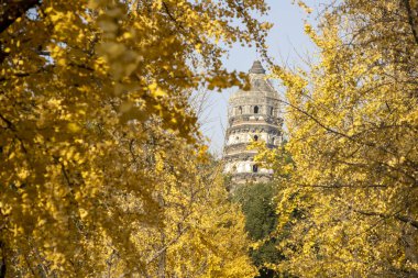 Tiger Hill Pagoda (Yunyan Pagoda) Çin 'in Suzhou kentinde sonbahar döneminde Tiger Hill' de.