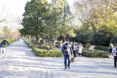 Nanjing, Çin - 1 Aralık 2023: Ming Hanedanlığı 'nın Xiaoling Anıtmezarını ziyaret eden turistler. Çin 'de var olan en büyük imparatorluk anıtlarından biridir.