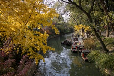 Suzhou, Çin - 5 Aralık 2023: Çin 'in Suzhou kentindeki Tiger Hill Sahnesi' nde sarı yapraklı sonbahar manzarası. Tiger Hill 'in geçmişi 2500 yıldan fazladır ve Suzhou' nun simgesidir.
