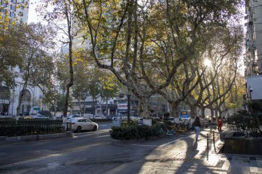 Nanjing, Çin - 2 Aralık 2023: Sonbahar sezonu boyunca Nanjing 'in sokak manzarası. Nanjing 'in birçok önemli mirası var..
