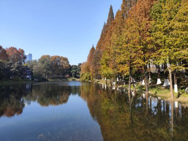 Nanjing, Çin - 2 Aralık 2023: Nanjing 'deki Xuanwu Gölü' nün sonbahar dönemi görüntüsü. Xuanwu Gölü, Çin tarafından korunan güzel manzaralı bir yerdir.
