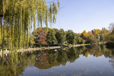 Nanjing, Çin - 2 Aralık 2023: Nanjing 'deki Xuanwu Gölü' nün sonbahar dönemi görüntüsü. Xuanwu Gölü, Çin tarafından korunan güzel manzaralı bir yerdir.