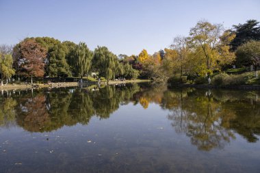 Nanjing, Çin - 2 Aralık 2023: Nanjing 'deki Xuanwu Gölü' nün sonbahar dönemi görüntüsü. Xuanwu Gölü, Çin tarafından korunan güzel manzaralı bir yerdir.
