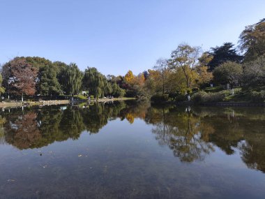 Nanjing, Çin - 2 Aralık 2023: Nanjing 'deki Xuanwu Gölü' nün sonbahar dönemi görüntüsü. Xuanwu Gölü, Çin tarafından korunan güzel manzaralı bir yerdir.