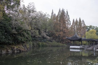 Suzhou, Çin - 6 Aralık 2023: Çin 'in Suzhou kentindeki Dongyuan parkında sonbahar sahnesi. Bu, antik şehir duvarının, şehir içi nehrin ve güzel manzaranın ahenkli bir birleşimi..