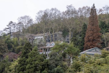 Çin 'deki Moganshan Manzarası. Moganshan serin iklimi ve yemyeşil iklimi ile ünlüdür.