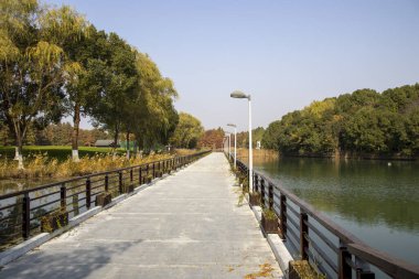Sonbahar sezonu boyunca Bacheng Ekolojik Bataklık Parkı 'nın güzel manzarası. Çin 'in Suzhou kentindeki Yangcheng Gölü' nün doğu kıyısında yer alır..