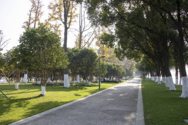 Sonbahar sezonu boyunca Bacheng Ekolojik Bataklık Parkı 'nın güzel manzarası. Çin 'in Suzhou kentindeki Yangcheng Gölü' nün doğu kıyısında yer alır..