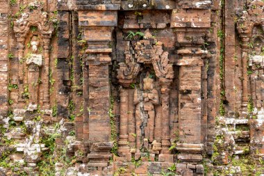 Oğlum, Vietnam- 29 Şubat 2024: Oğlum UNESCO Dünya Mirası Orta Vietnam 'da Hoi An yakınlarında. Cham halkının eski bir Hindu tapınağı kompleksi..