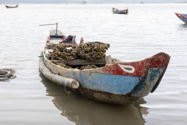 Lap An Lagoon, Vietnam - 28 Şubat 2024: Lap An Lagoon, Vietnam 'da istiridye çiftçiliği endüstrisinde geleneksel balıkçı teknesi.