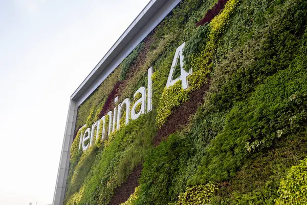 Singapur - 26 Şubat 2024: Singapur girişinde Changi Havaalanı Terminali 4 'ün imzası. Terminal 4 yılda 16 milyondan fazla yolcuyla başa çıkabilecek donanıma sahip..
