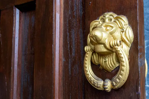 Golden door knob with lion head on the wooden door