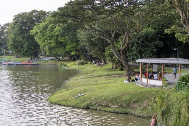 Singapur, Mar 16, 2024 Singapur 'un batı yakasındaki Jurong Gölü Bahçeleri. Jurong Lake Gardens, aile dostu özellikleri olan 90 hektarlık çarpıcı bir bahçe.