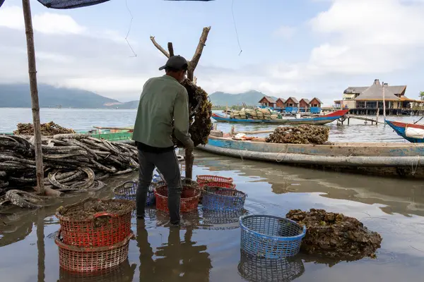 Ton, Vietnam- 28 Şubat 2024: Lap An Lagoon 'da istiridye çiftliği. Lap An Lagoon sadece doğa aşıkları için ideal bir yer değil.