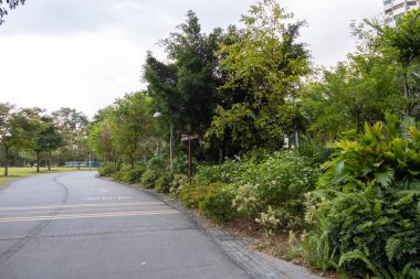 Singapur, Mar 16, 2024 Singapur 'un batı yakasındaki Jurong Gölü Bahçeleri. Jurong Lake Gardens, aile dostu özellikleri olan 90 hektarlık çarpıcı bir bahçe.