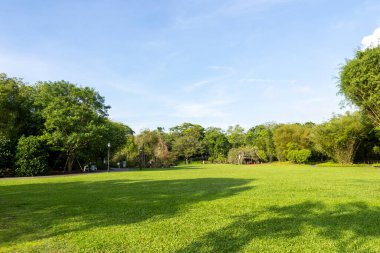 Singapur - 19 Nisan 2024 Singapur Botanik Bahçesi 'nin yeşil manzarası. Singapur Botanik Bahçeleri, kalabalık Singapur şehrinde verimli bir vaha olarak hizmet vermektedir.