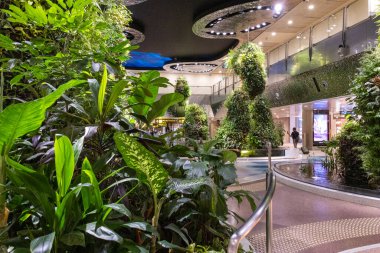 Singapur - 7 Mayıs 2024: Changi Havaalanı Terminali 2, Singapur Rüya Bahçesi. Doğanın ve teknolojinin büyülü bir senfoni ile birleştiği kapalı bir bahçe.