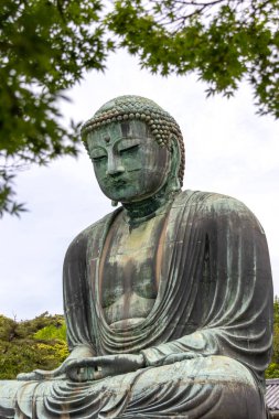 Kamakura, Japonya- 14 Mayıs 2024: Kamakura, Japonya 'daki Kamakura tapınağındaki Kamakura Daibutsu heykeli